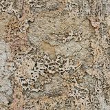 Weathered-Stucco-thumb.jpg