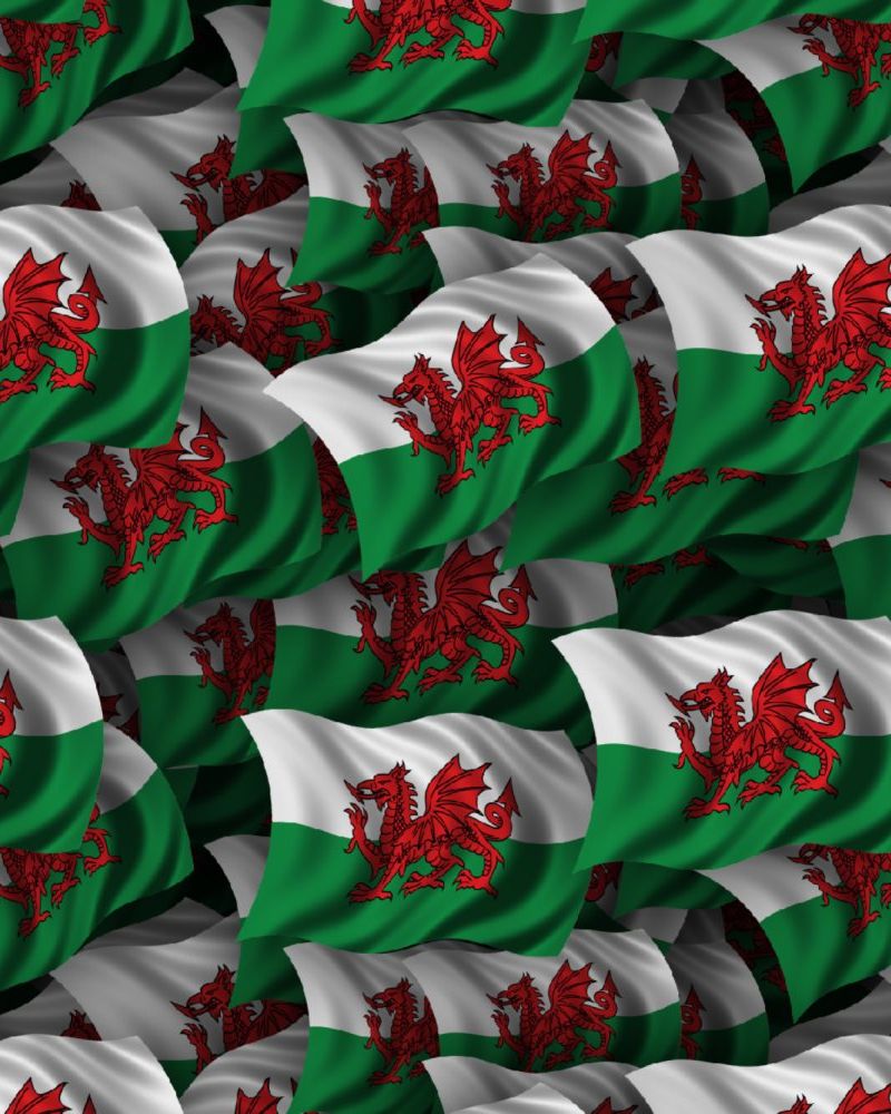 Welsh Flag 22
