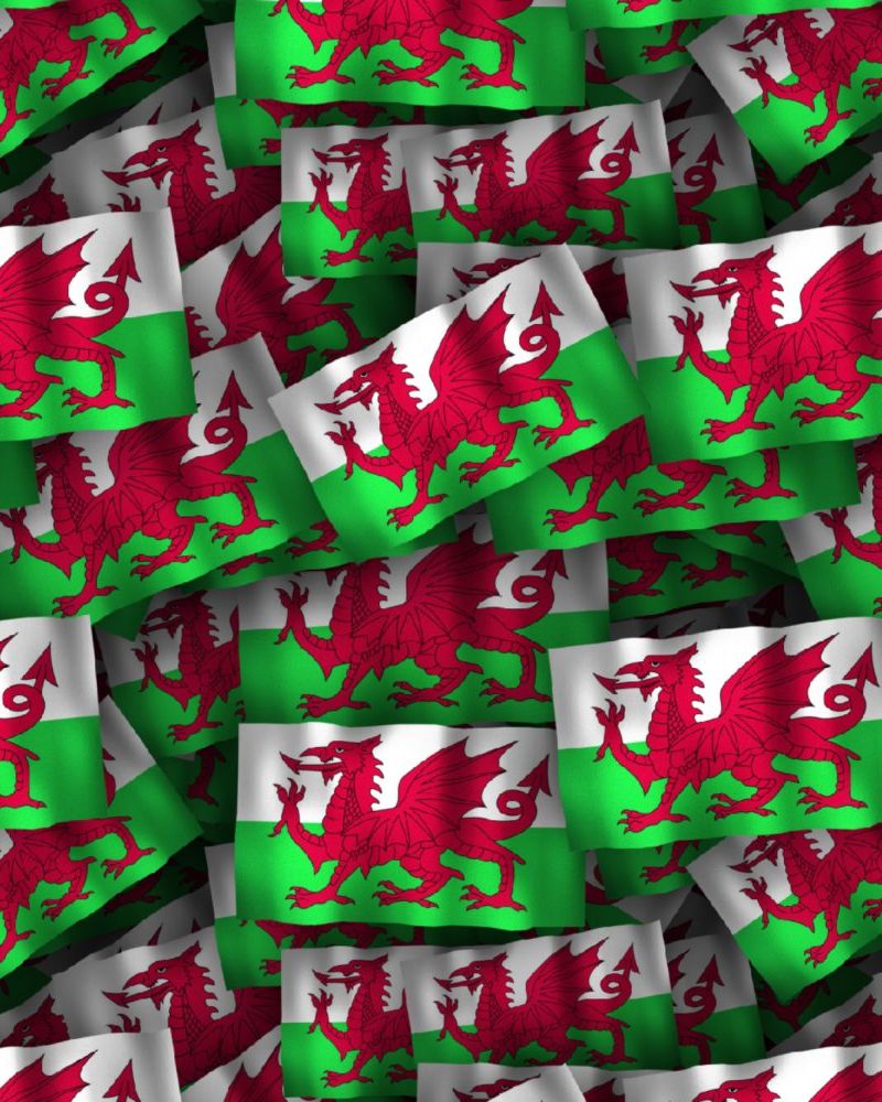 Welsh Flag 23