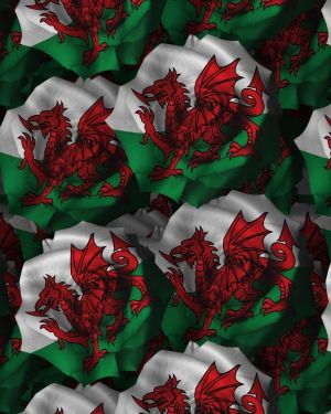 Welsh Flag Rose