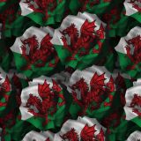 Welsh-Flag-Rose.jpg