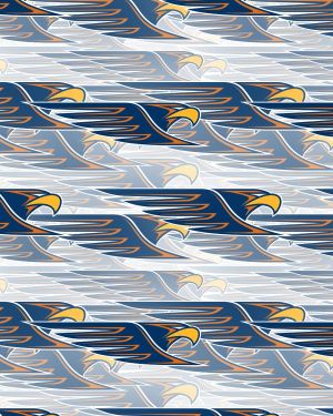 West Coast Eagles