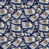 West-Virginia-State-Flag.jpg