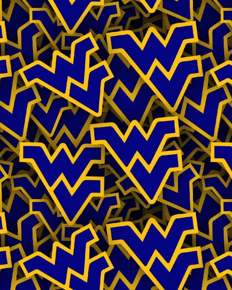 West Virginia University 22