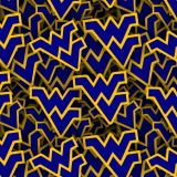 West-Virginia-University-22.jpg
