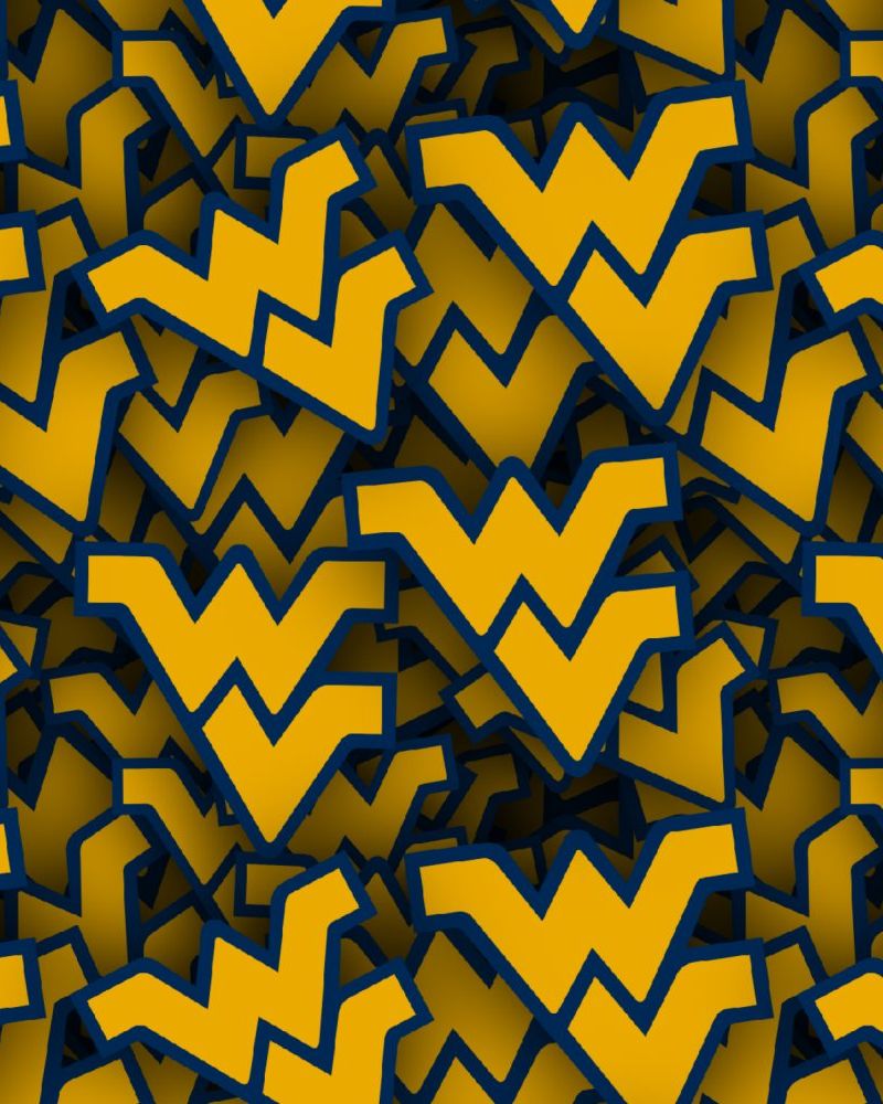 West Virginia University 23