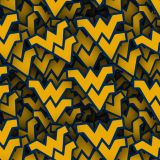 West-Virginia-University-23.jpg