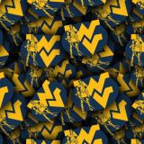 West-Virginia-University-24.jpg