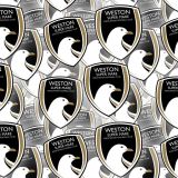 Weston-Super-Mare-AFC.jpg