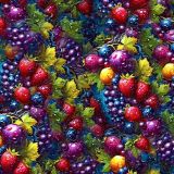 Wet-Fruit.jpg