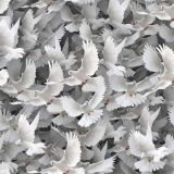 White-Doves-22.jpg