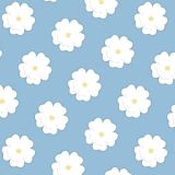 White-Flowers-22.jpg
