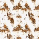 White-Rusty-Metal.jpg
