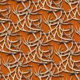 White-Tail-Deer-Antlers-24.jpg