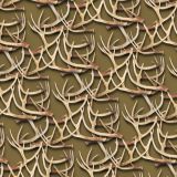 White-Tail-Deer-Antlers-25.jpg