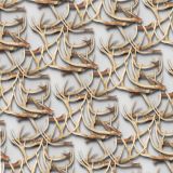 White-Tail-Deer-Antlers-26.jpg