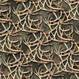 White-Tail-Deer-Antlers-29.jpg
