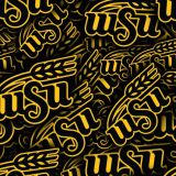 Wichita-State-University-Shockers-23.jpg