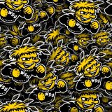 Wichita-State-University-Shockers-24.jpg