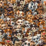 Wide-Eyed-Puppies.jpg