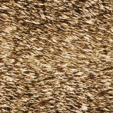 Wild-Hog-Hair-23.jpg