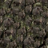 Wild-Hogs-22-thumb.jpg