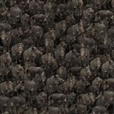 Wild-Hogs-23.jpg