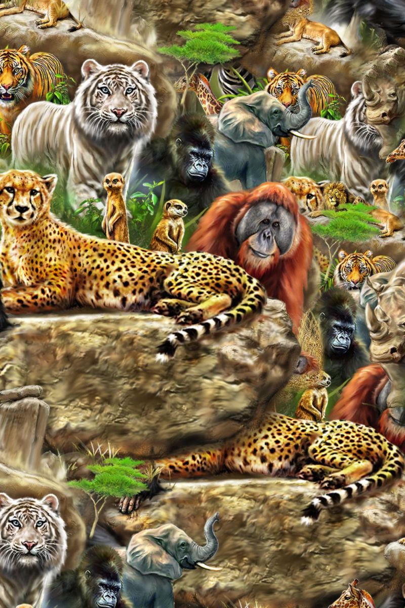 Wild Kingdom