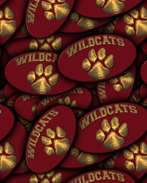 Wildcats 22