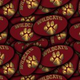 Wildcats-22.jpg