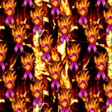 Wildland-Fire.jpg