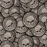 Willie-G-Coin-23.jpg
