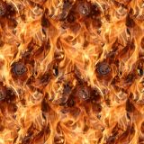 Willie-G-Fire-22.jpg