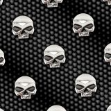 Willie-G-Harley-Skull-Carbon-Fiber-23-thumb.jpg