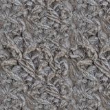 Willow-Bark-22.jpg