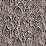 Willow-Bark-23.jpg
