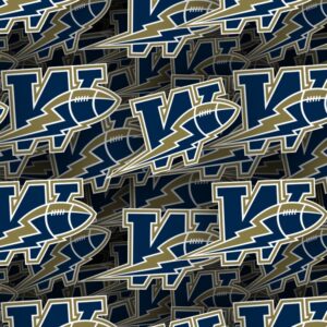 Winnipeg Blue Bombers 22