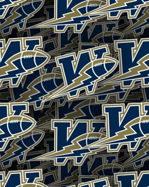 Winnipeg Blue Bombers 22