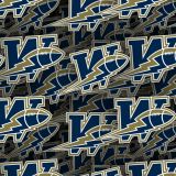 Winnipeg-Blue-Bombers-22.jpg