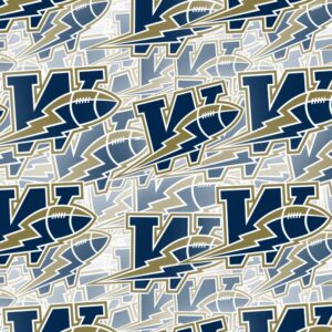 Winnipeg Blue Bombers 23