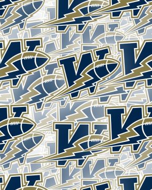 Winnipeg Blue Bombers 23
