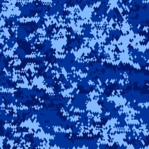 Winnipeg Blue Bombers Camouflage