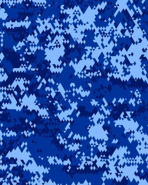 Winnipeg Blue Bombers Camouflage