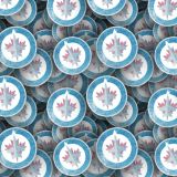 Winnipeg-Jets-23.jpg