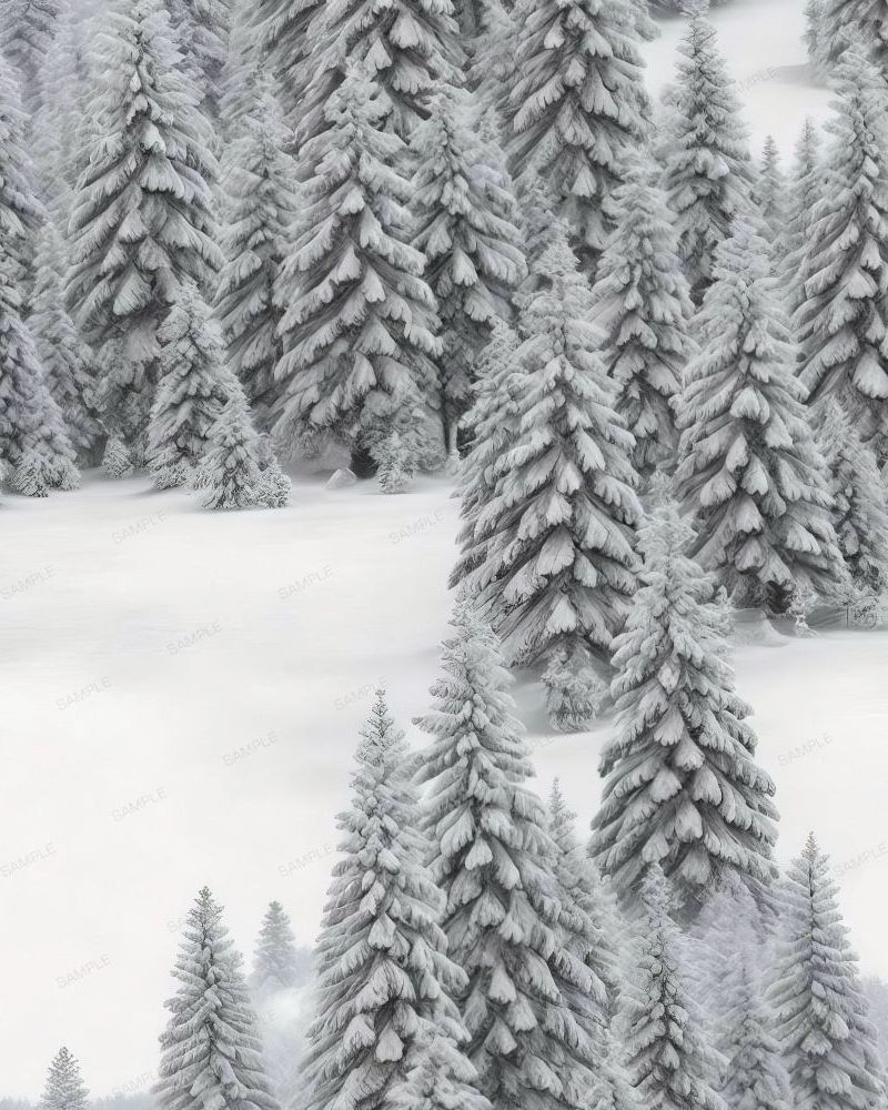 Winter Wonderland