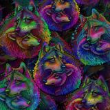 Wolf-Love-24.jpg