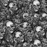 Wolf-and-Skull-22.jpg