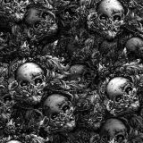 Wolf-and-Skull-23.jpg