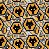 Wolverhampton-Wanderers-FC.jpg