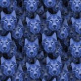 Wolves-22.jpg